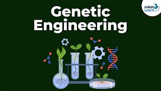 Genetic Engineering  Genetics  Biology  Dont Memorise [upl. by Nena]