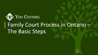 Family Court Process in Ontario  The Basic Steps [upl. by Hanleigh]