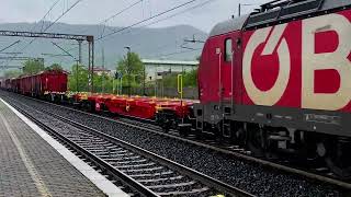 Treni alla Stazione di Tarcento 2024 [upl. by Leahicm]