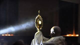 Tantum Ergo  Gregorian Chant for Benediction and Adoration of the Blessed Sacrament [upl. by Nomyad288]