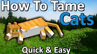 How to Tame a Cat Minecraft  Quick amp Easy [upl. by Loy458]