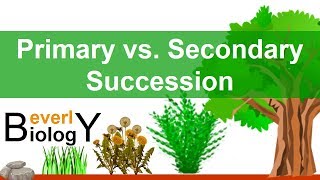 Primary vs Secondary Ecological Succession [upl. by Drofwarc]