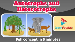 Class 7 Science Chapter 1 Nutrition in Plants  Autrotrophs and Heterotrophs  CBSE  Learnfatafat [upl. by Nev]