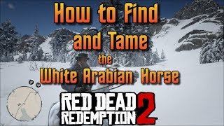 RDR2  How to Find and Tame the White Arabian Horse [upl. by Kerwinn762]