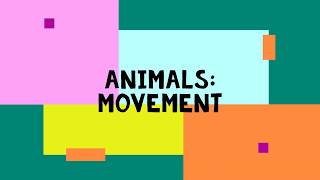 Animals Movements [upl. by Rafiq905]