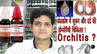 Orchitis  Homeopathic medicine for Orchitis  Explain [upl. by Tolman]