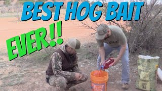 Easy DIY Hog Bait  GUARANTEED to bring in wild hogs [upl. by Nylarej306]