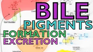 Key Biliary Tract  Cholestatic Diseases amp Labs Explained [upl. by Treharne]