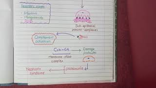 Membranous Nephropathy  Pathology [upl. by Coray]