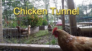 Easy Chicken Tunnel Chunnel from Run to Garden [upl. by Areht]