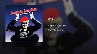 Wot  Captain Sensible [upl. by Vic]