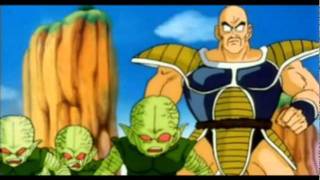 Best Nappa Moments In DBZ Abridged [upl. by Demp]