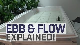 Ebb and Flow Hydroponics Explained [upl. by Wivinah]