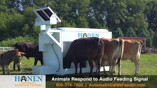 Hanen Automatic Livestock Feeders [upl. by Nolham]