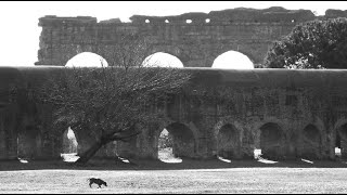 La Fisica degli Acquedotti Romani [upl. by Junette460]