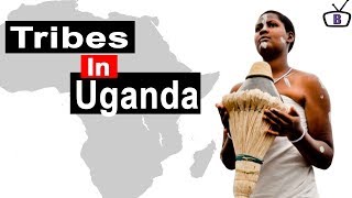 Major ethnic groups in Uganda and their peculiarities [upl. by Oguh737]