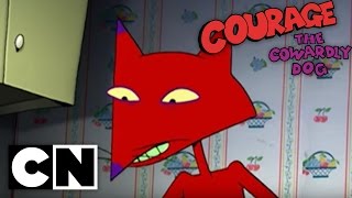 Courage the Cowardly Dog  Katz Kandy [upl. by Thetisa]