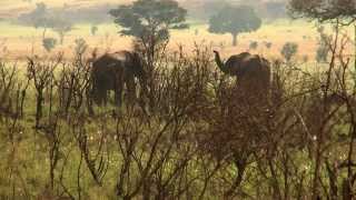 Uganda Sustainable Tourism [upl. by Merta]