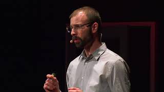 Lessons from a terrified horror researcher  Mathias Clasen  TEDxAarhus [upl. by Armington681]