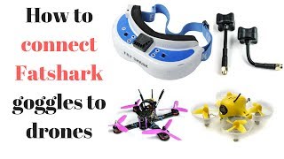 How to connect fat shark goggles to drones [upl. by Neisa]