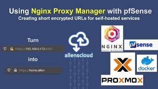 Using Nginx Proxy Manager with pfSense Proxmox and Docker [upl. by Aitselec]