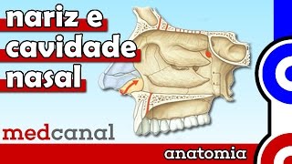 Nariz e Cavidade Nasal  ANATOMIA [upl. by Milli]