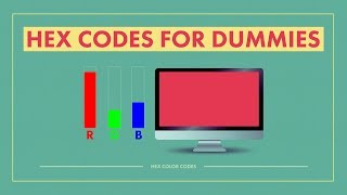 HEX CODE for Dummies The NonTechnical Guide Base16 [upl. by Irtimed]