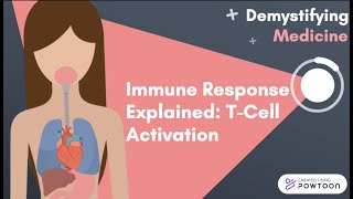 Immune Response Explained TCell Activation [upl. by Leake]