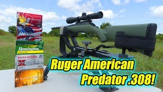 At the Range Ruger American Predator 308 [upl. by Tfat966]