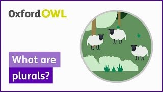 What are plurals  Oxford Owl [upl. by Sitoiganap]