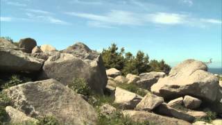 Der Harz  ein Märchengebirge [upl. by Alli]