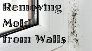 Removing Mold from Walls [upl. by Iluj]