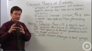 Darwins Theory of Evolution [upl. by Herwin]