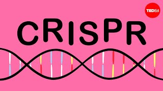 How CRISPR lets us edit our DNA  Jennifer Doudna [upl. by Alyal]