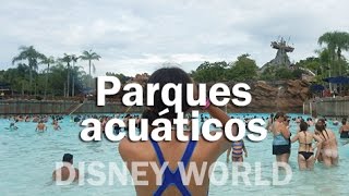 Parques acuáticos en Disney World  FLORIDA [upl. by Hanah554]