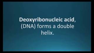 How to pronounce deoxyribonucleic acid DNA Pharmcabulary for Memorizing Pharmacology Flashcard [upl. by Eyma103]