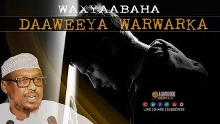 WAXYAABAHA DAAWEEYA WARWARKA amp WALBAHAARKA Depressionka ᴴᴰ┇ Sh Mustafe Xaaji Ismaaciil [upl. by Nyer]