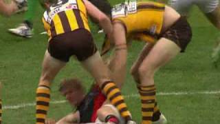 AFL Essendon Vs Hawthorn Round 22 Matthew Lloyd clash with Brad Sewell [upl. by Engelhart244]