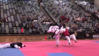 ITF DPR Korean Self Defence Demonstration [upl. by Sirrom]