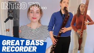 Intro to GREAT BASS Recorder  Team Recorder [upl. by Attelrahc]