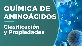 AMINOÁCIDOS clasificación y propiedades [upl. by Ananna441]