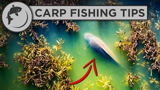 How To Catch MORE Carp This Spring  Carp Fishing Advice [upl. by Lizzy]