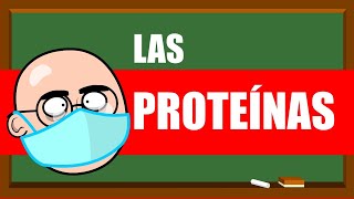 PROTEÍNAS Y AMINOÁCIDOS 💪💪💪 UN MES DE CLASES EN 5 MINUTOS [upl. by Frentz237]