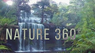 Virtual Nature 360°  Nature Meditation for VR Quest [upl. by Sharl]