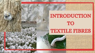 Introduction To Textile Fibres What Is A Textile Fibre What Is Fibre Textile Raw Material [upl. by Hares]