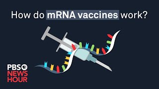 How do mRNA COVID19 vaccines work [upl. by Meredi764]