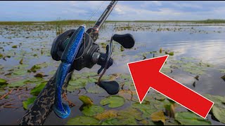 BEST Lake Okeechobee Bass Fishing TOPWATER  Gambler BIG EZ Fishing [upl. by Esinek]