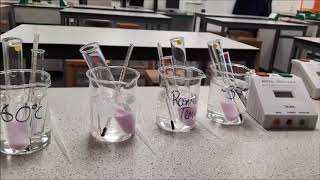 AQA required practical biology Temperature effect on decay [upl. by Eladnwahs356]