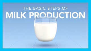 The basic steps of milk production [upl. by Littman]