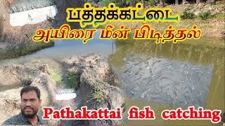 Pathakattai Fish Catching Tamil  Village Cooking Channel  Village Fish Catching [upl. by Rebhun]